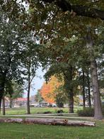 Tuin WINTERKLAAR maken!Tuinonderhoud en bestrating, Diensten en Vakmensen, Tuinmannen en Stratenmakers, Tuinonderhoud of Snoeiwerk