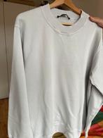 Sofie D'Hoore sweater - Maat M, Kleding | Dames, Truien en Vesten, Ophalen of Verzenden, Zo goed als nieuw, Maat 38/40 (M), Grijs