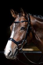 Harry's Horse Hoofdstel Release, Dieren en Toebehoren, Paarden en Pony's | Hoofdstellen en Tuigage, Ophalen of Verzenden, Zo goed als nieuw