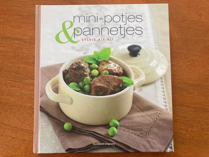 Mini-potjes & pannetjes - Sylvie Aït-Ali, Boeken, Kookboeken, Zo goed als nieuw, Verzenden