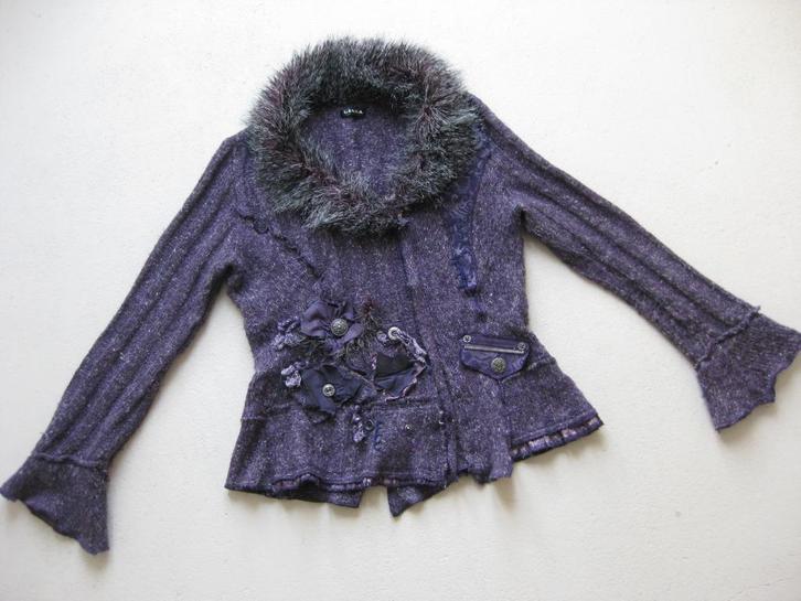 Mooi vest Lissa maat M met zachte kraag en leuke details, Kleding | Dames, Truien en Vesten, Gedragen, Maat 38/40 (M), Paars, Ophalen of Verzenden