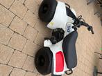 Suzuki lt50, Motoren, Quads en Trikes, 49 cc, 11 kW of minder