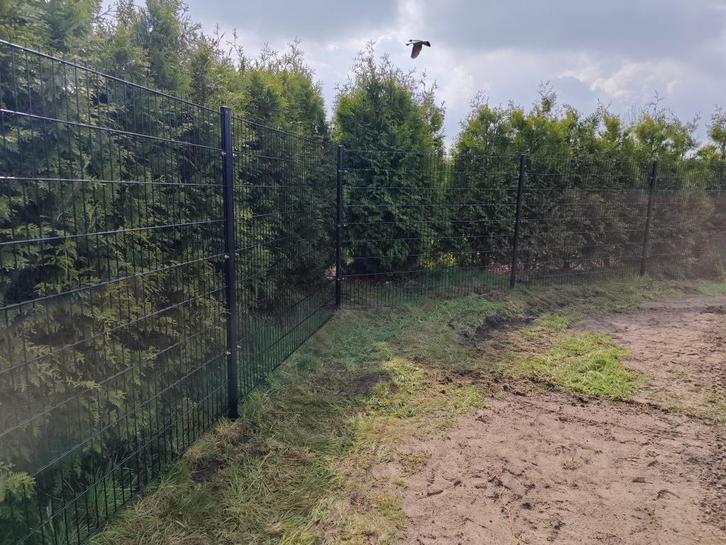 Stalen hekwerk Nieuw dubbelstaafs 6/5/6, Tuin en Terras, Tuinhekken en Hekwerk, Nieuw, Dubbelstaafmat hekwerk, IJzer, Met poort