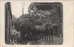 JJ526 Fotokaart  Nieuwkoop Boerderij Nieuwveenscheweg ca1920, Verzenden, Voor 1920, Ongelopen, Zuid-Holland