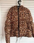 Colourful rebel  panter tijger winterjas puffer zgan, Kleding | Dames, Jassen | Winter, Bruin, Maat 42/44 (L), Colourful Rebel