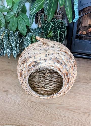 Banana leaf iglo kattenhuis  beschikbaar voor biedingen