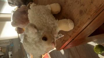 Pluche schaap  in goedr staat  beschikbaar voor biedingen