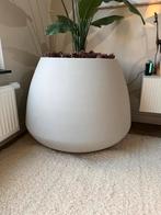 Grote bloempot, Kunststof, 40 cm of meer, Rond, Binnen