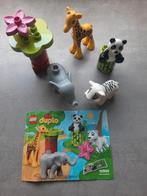 Duplo 10904 wilde baby dieren, Ophalen, Zo goed als nieuw, Duplo