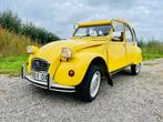 2cv6 CT Jaune mimosa 08-1980 82.995 km | import Spanje, Voorwielaandrijving, 602 cc, Overige kleuren, Cabriolet