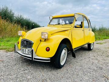 2cv6 CT Jaune mimosa 08-1980 82.995 km | import Spanje  beschikbaar voor biedingen