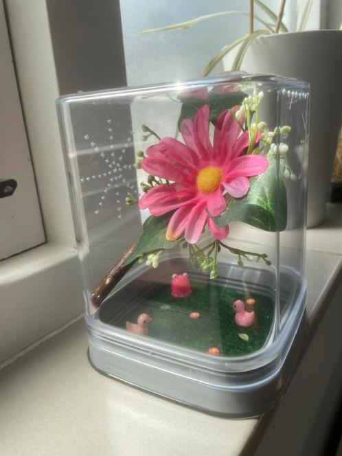Springspin terrarium 12 x 12 x 15 ingericht roze bloem, Dieren en Toebehoren, Insecten en Spinnen, Spin of Schorpioen