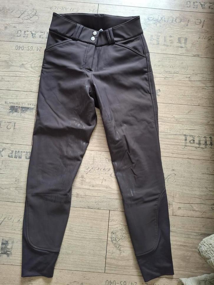Rijbroek Drytex van LeMieux maat 36, Dieren en Toebehoren, Paardrijkleding, Zo goed als nieuw, Onderkleding, Dressuur, Ophalen of Verzenden
