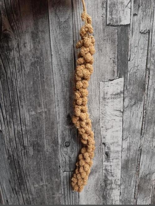 Trosgierst, Dieren en Toebehoren, Dierenvoeding, Ophalen of Verzenden