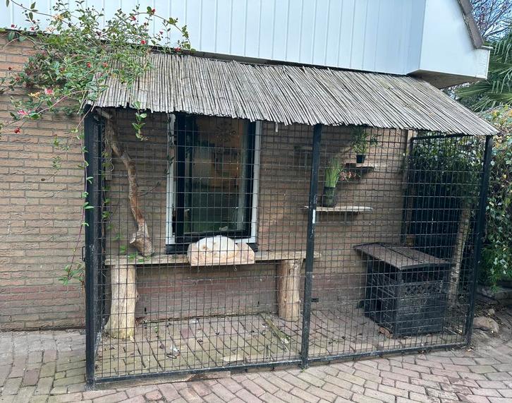 Kattenren, kitten- katerverblijf, Dieren en Toebehoren, Katten-accessoires, Zo goed als nieuw, Ophalen