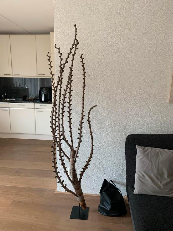 Stijlvolle Staande Sier Dadelpalm Tak, Huis en Inrichting, Woonaccessoires | Wanddecoraties, Zo goed als nieuw, Ophalen of Verzenden