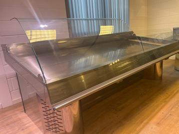 RVS Vis koeltoonbank  beschikbaar voor biedingen