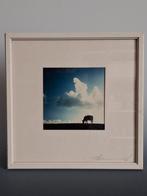 Authentiek werk Henk Beeuwkes "Friese Koe" Handgesigneerd, Ophalen of Verzenden