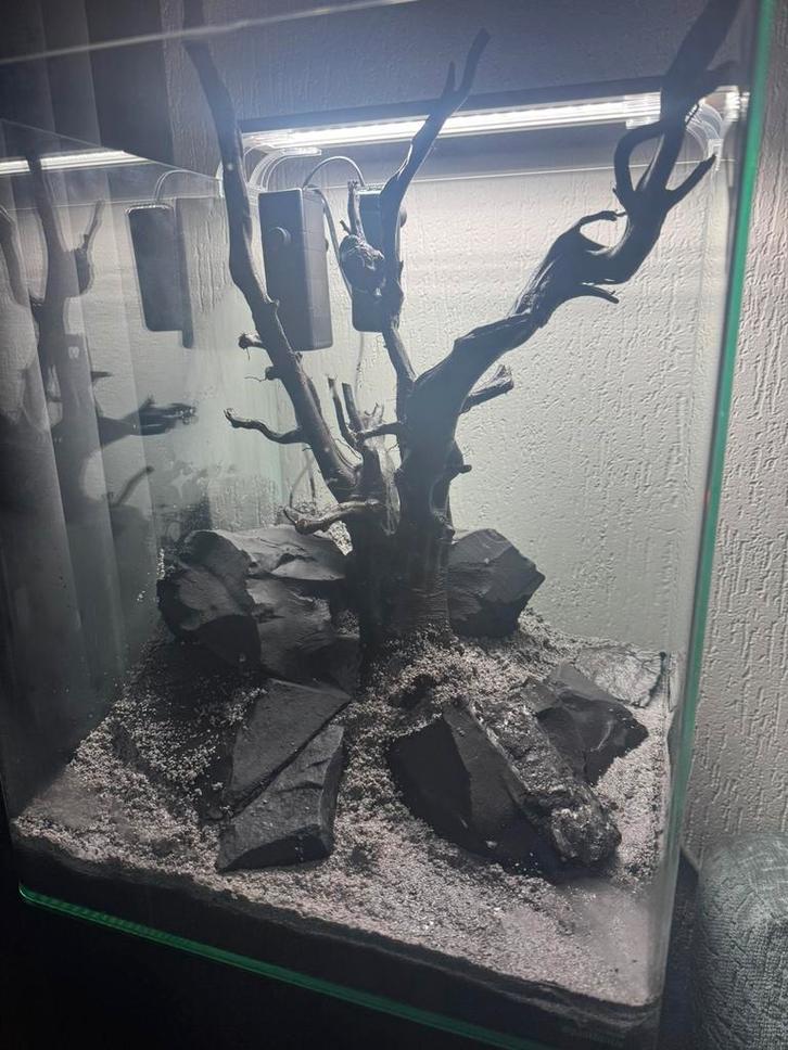 Gloednieuw aqarium met alle toebehoren, Dieren en Toebehoren, Reptielen en Amfibieën | Toebehoren, Zo goed als nieuw, Ophalen