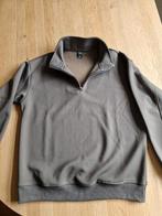 Dazy herentrui met rits maat M, Ophalen of Verzenden, Gedragen, Maat 48/50 (M), Grijs