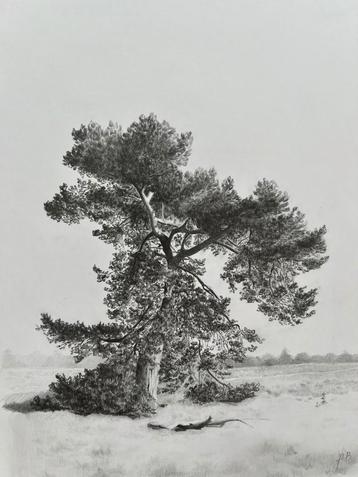 Originele tekening 26x30 cm beschikbaar voor biedingen