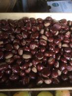 biologische kastanjes, Diversen, Levensmiddelen, Ophalen