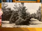 Norg, Verzenden, 1940 tot 1960, Gelopen, Drenthe