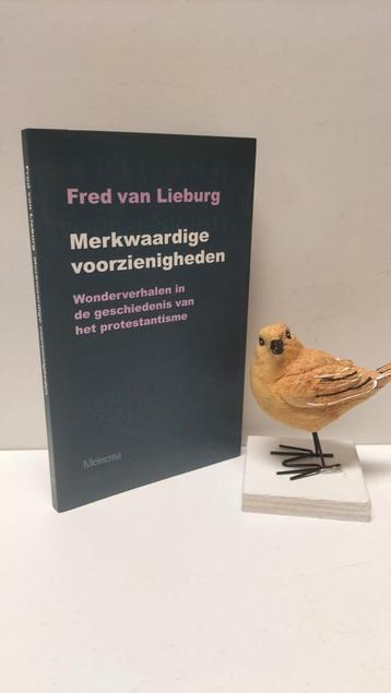 Lieburg, Fred van ; Merkwaardige voorzienigheden  beschikbaar voor biedingen
