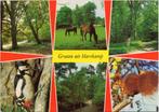Harskamp  Groeten uit, Ophalen of Verzenden, Gelopen, Gelderland