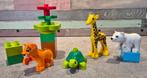 Duplo 10801 (compleet) - Jonge dieren (set 2), Ophalen of Verzenden, Gebruikt, Complete set, Duplo