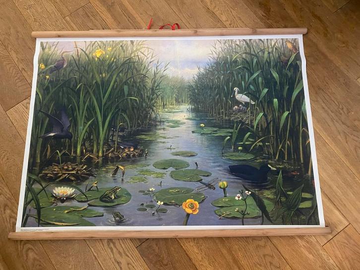 Schoolplaat langs de sloot, Antiek en Kunst, Kunst | Schilderijen | Klassiek, Ophalen of Verzenden