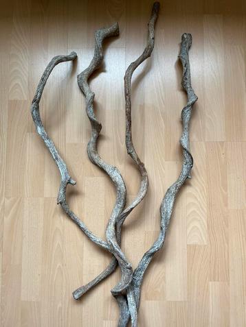 Decoratieve houten takken beschikbaar voor biedingen
