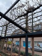 Luifel, Ophalen, Gebruikt