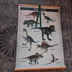 Dino schoolplaat- Jongenskamer Muurdecoratie, Ophalen of Verzenden, Wanddecoratie