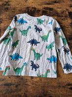 Grijze Dino longsleeve Maat 98 h, Kinderen en Baby's, Kinderkleding | Maat 98, C&A, Ophalen of Verzenden, Zo goed als nieuw, Jongen