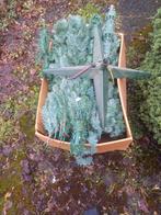 Gratis kerstboom 1.80 m, Diversen, Kerst, Ophalen of Verzenden