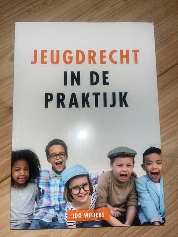 Ido Weijers - Jeugdrecht in de praktijk beschikbaar voor biedingen