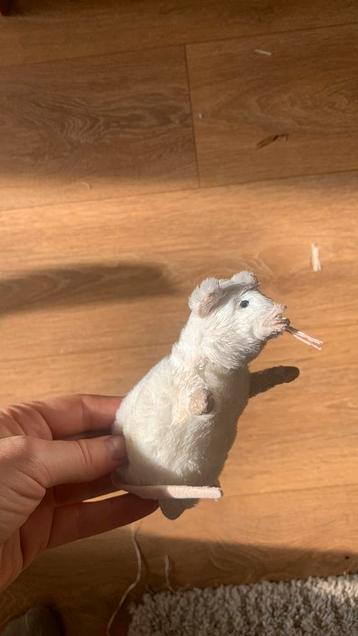 Gratis ophalen! Muizen knuffeltje beschikbaar voor biedingen
