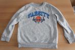 grijze trui / sweater maat 134 met opdruk, Ophalen of Verzenden, Gebruikt, Jongen, Trui of Vest