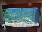 Aquarium met led verlichting en veel extra's, Dieren en Toebehoren, Vissen | Aquaria en Toebehoren, Ophalen, Zo goed als nieuw