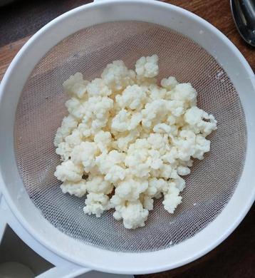 Melk kefir korrels beschikbaar voor biedingen