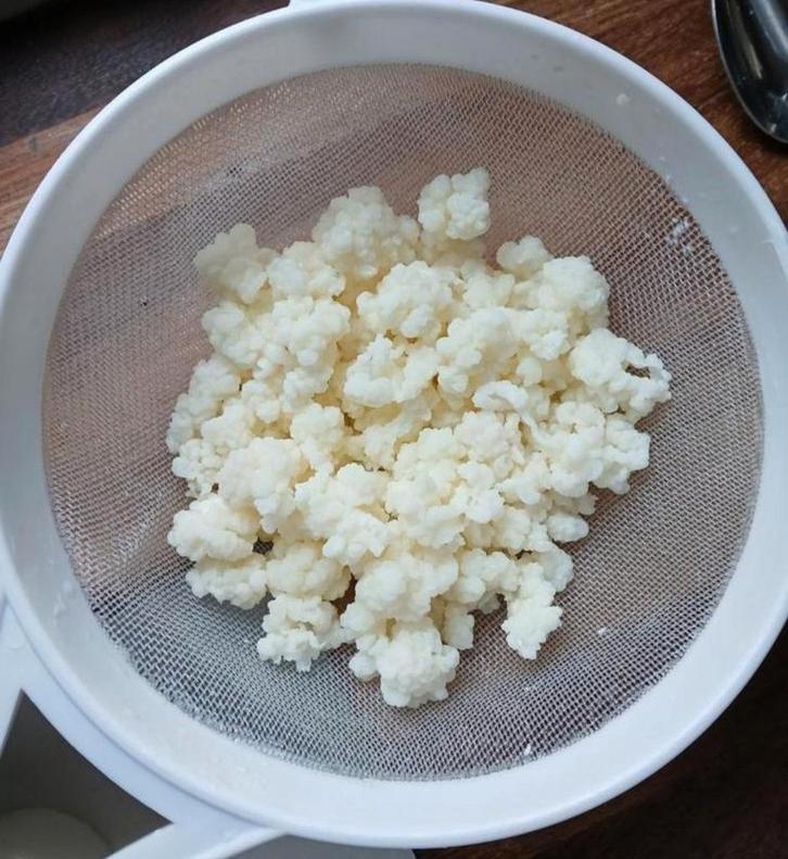 Melk kefir korrels, Sport en Fitness, Gezondheidsproducten en Wellness, Ophalen of Verzenden