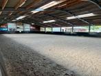 Pensionstalling, Dieren en Toebehoren, Stalling en Weidegang, Weidegang, 1 paard of pony