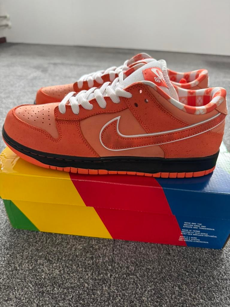 Nike SB dunk low Concepts Orange Lobster | 44.5, Overige kleuren, Nieuw, Ophalen of Verzenden, Sneakers of Gympen