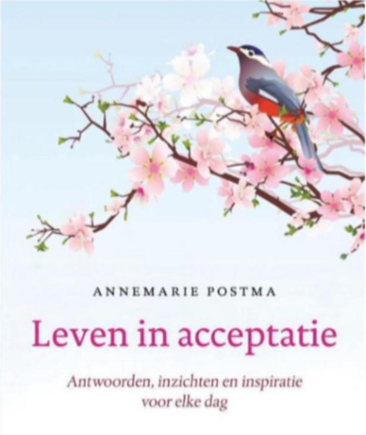 Leven in acceptatie (antwoorden, inzichten en inspiratie), Boeken, Esoterie en Spiritualiteit, Zo goed als nieuw, Achtergrond en Informatie