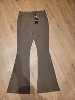 Nieuwe groene Mi Piace flaired broek maat L, Mi Piace, Maat 42/44 (L), Nieuw, Ophalen of Verzenden