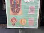 Vintage schoolplaat anatomie “Das Harnsystem” 1958, Antiek en Kunst, Antiek | Schoolplaten, Ophalen of Verzenden, Natuur en Biologie