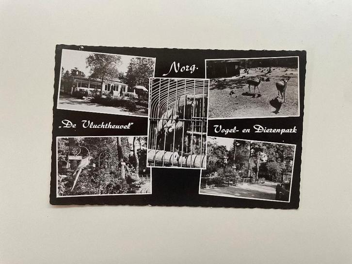 D860 Oude ansichtkaart Drenthe : De Vluchtheuvel Norg., Verzamelen, Ansichtkaarten | Nederland, Ongelopen, Drenthe, 1920 tot 1940