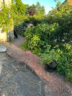 Gratis ophalen/weg scheppen grind rood, Tuin en Terras, Ophalen, Nieuw, Overige materialen