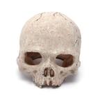 Doodskop Aquarium Ornament / Decoratie Skull Sier Schedel, Ophalen of Verzenden, Nieuw, Sierelement